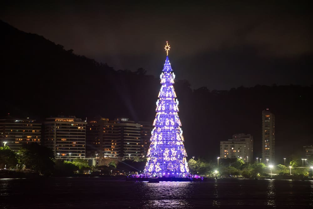 arvore-do-rio-lagoa (2)