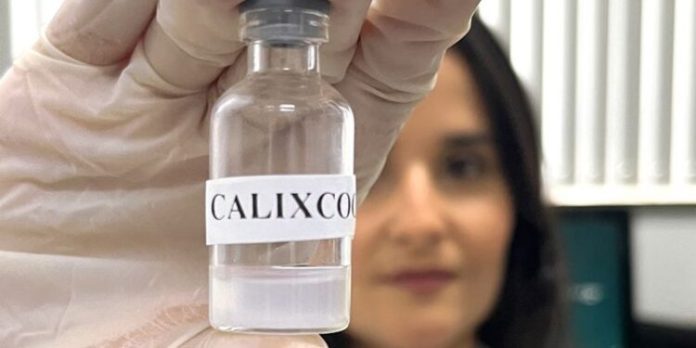 calixcoca