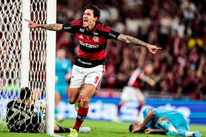 55190077329_39c18fd13d_k Pedro, atacante do Flamengo, celebrando gol marcado contra o Santos (Gilvan de Souza/Flamengo)