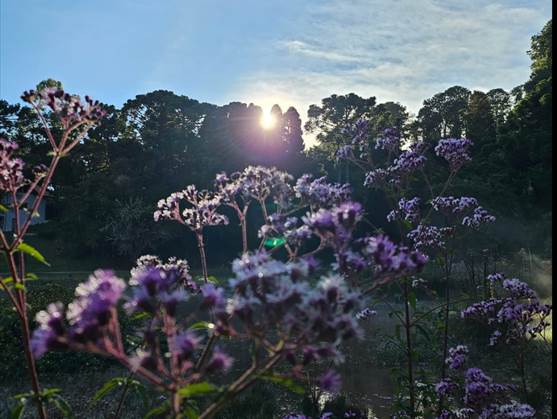 amanhecer-monte-verde-mg